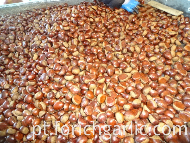 Best Quality New Crop Chestnut